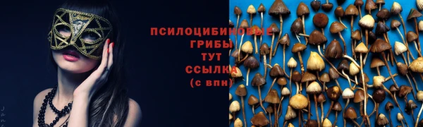 сатива Михайловск