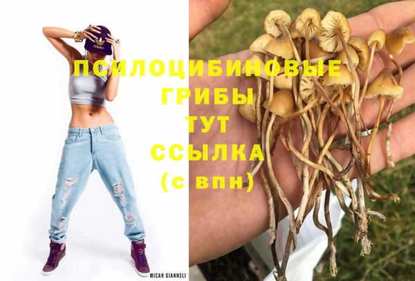 MESCALINE Архангельск