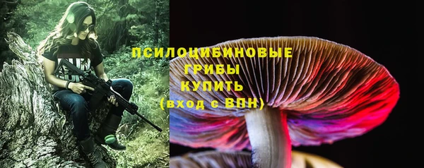 сатива Михайловск