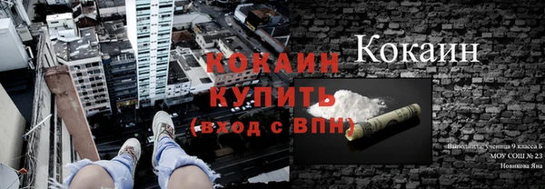 сатива Михайловск