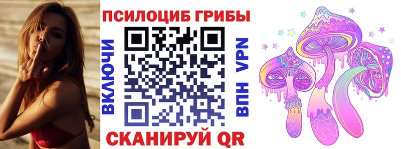купить наркоту  Заозёрск  Галлюциногенные грибы ЛСД 